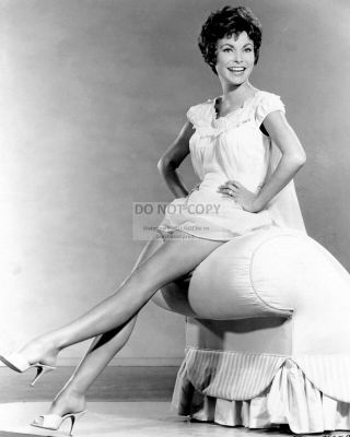 Janet Leigh In The 1963 Film " Bye Bye Birdie " - 8x10 Publicity Photo (fb - 903)