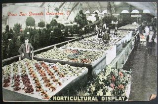 Columbus,  Oh Ohio Postcard - State Fair Grounds Horticultural Display 1911