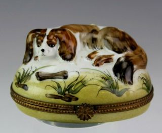 Limoges France Peint Main Cavalier King Charles Dog Porcelain Trinket Box Nr Sjs