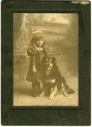 Young Girl And Border Collie Dog,  Walker Photo,  Fergus,  Ontario 1890’s