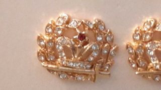 Order Of The Amaranth Goldtone Jeweled Vintage ORA Signed Earrings 3