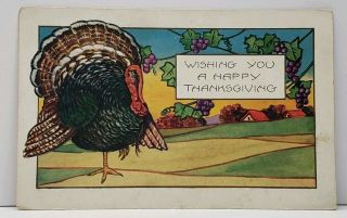 Happy Thanksgiving Large Embossed Turkey Whitney Made Postcard G18