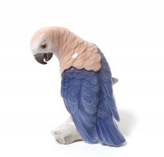 Porcelain Figurine Parrot.  Denmark,  Bing & Grondahl 2019.