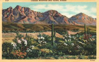 Catalina Mountains Near Tucson,  Arizona,  Az,  1936 Linen Vintage Postcard G1547