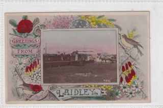 Vintage Postcard Greetings From Laidley Queensland 1900s