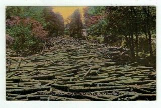 Pa Shohola Glen Pennsylvania Antique Post Card Great Log Jam In River