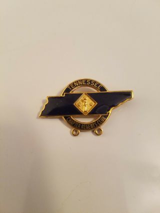 Dar Daughters Of The American Revolution Tennessee Chapter Regents Club Pin