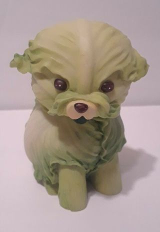 Home Grown Lettuce Cabbage Dog Figurine By Enesco 2004 Anthropomorphic Animal