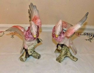 Vintage Fitz & Floyd Parrot/cockatoo Candle Holders Marked 1986