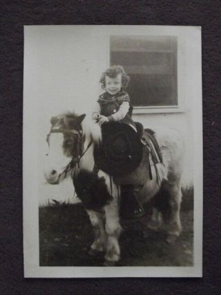 Young Girl In Cowboy Outfit On Fat Shetland Pony Vtg 1950 
