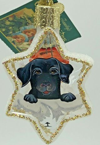 Old World Christmas Inside Art Glass Ornament Star Lab Dog Santa Reverse Painted