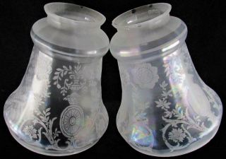 Pair 2 Antique Satin Glass Pendant Lamp Shades Acid Etched Art Deco Flower Urns