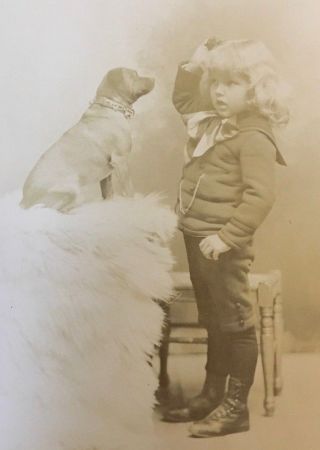 1890 Boy & His Dog Fetch Little Lord Fauntleroy St Albans Vt Antique Photography