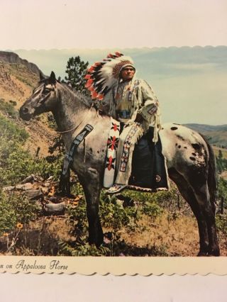 Nez Perce Indian on Appaloosa Horse Vintage Postcard Native American Tribe 3