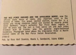 Nez Perce Indian on Appaloosa Horse Vintage Postcard Native American Tribe 5