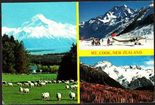 Postcard,  Zealand,  Mt Cook Multiview,  Stamped 1994