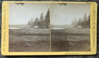 1871 Yellowstone Stereoview Hayden Survey Camp By Lake In The Woods W H Jackson