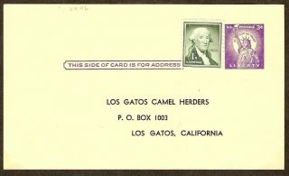 Los Gatos (california) Camel Herders Vintage Invitation Reply Postcard