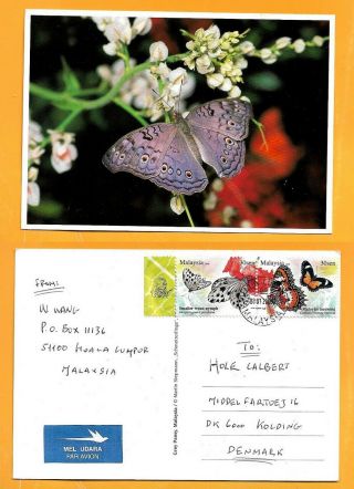 Malaysia Large Postcard Butterfly Stamp Butterfly Rare