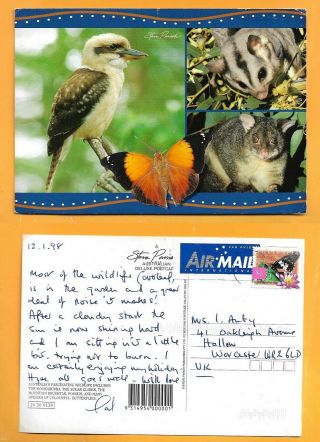 Australia Large Postcard Butterfly Stamp Butterfly Photo By Steve Parish