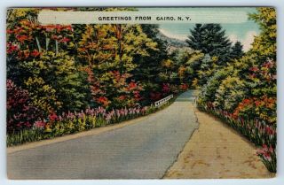 Vintage Linen Postcard Greetings From Cairo Ny Scenic Street