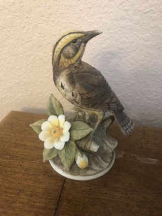 Vintage Andrea By Sadek Porcelain “meadowlark” Bird And Flower Figurine 9386