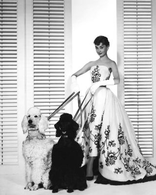 Audrey Hepburn In The 1954 Film " Sabrina " - 8x10 Publicity Photo (az594)