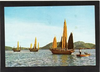 Hong Kong - The Fishing Junk.  S.  C.  Moy Photo Postcard.  P/u 1987.