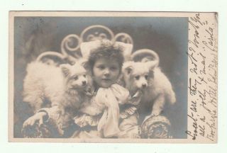 Vintage 1903 Real Photo Postcard Young Girl With 2 Dogs Rppc