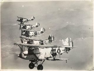 1930s Photograph Osprey Bi - Planes Aircraft Flying Over Hong Kong