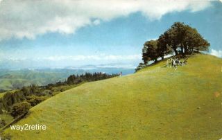 Postcard Ca Mt Tamalpais And Muir Woods Union Oil 76 Marin County California