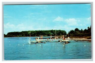 Pioneer Trails Boy Scout Camp Swimming Dock Cromwell In C1960 Chrome Postcard B6