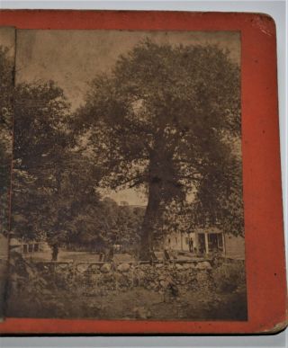 Vintage Stereoview,  View In Corinth,  Vt,