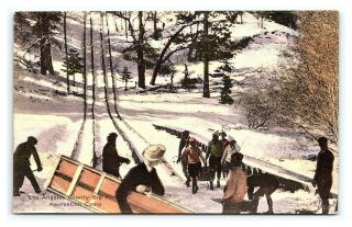 Vintage Postcard Hand Colored Albertype Toboggan Run Big Pines La County Ca I12
