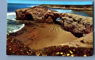 California Postcard L,  3684 Natural Bridges State Park In Santa Cruz