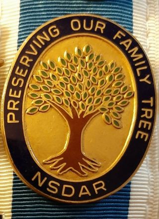 Daughters Of The American Revolution Dar Watkins Preserving Our Family Tree Pin
