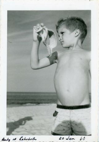 Vintage Photo - Boy Holding Up A Sea Shell At Rehobeth Beach In His Swim Trunks
