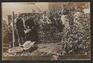 1910 Chipping Norton Hop Pickers Real Photo Postcard Hop Picking Oxfordshire