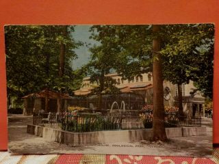 Ohio,  Toledo Plaza Pool & Carnivora House Zoo Park 1946 Stamped Postcard