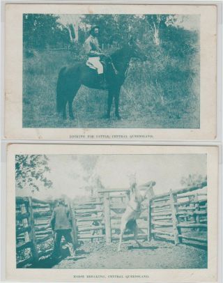 Vintage Postcard Q.  I.  T.  Bureau Horse Breaking Central Queensland 1910s