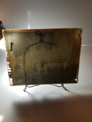 1890s Glass Plate 8 X 10 Negative,  Lumberjacks,  Horse,  Logging,  Northern N.  H.