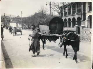 1930s Photograph Chinese Street Wei - Hai - Wei China