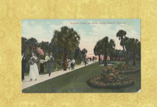 Fl Bradenton Area 1908 - 19 Antique Postcard Interior Anna Maria Beach Florida