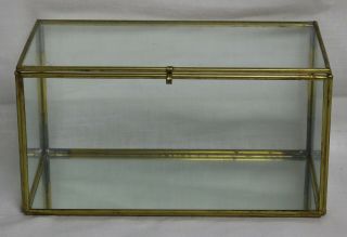 Vintage Brass & Glass Display Case - Mirror Bottom