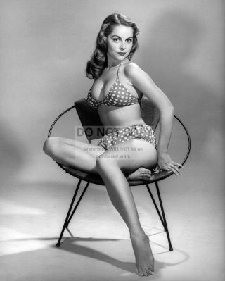 Diane Webber Model And Actress Pin Up - 8x10 Publicity Photo (dd694)