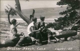 Rppc Dillon Beach,  Ca Three Boys On A Log Marin County California Postcard