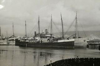 Rare B&w Photograph 5x7 Wilson Bros.  Steamships Ss Svea & Ss San Diego In 1945