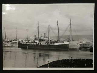 RARE B&W Photograph 5x7 Wilson Bros.  Steamships SS Svea & SS San Diego in 1945 2