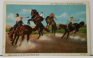 Cowboy Race On Wild Bucking Broncos Rodeo Scene Postcard H5