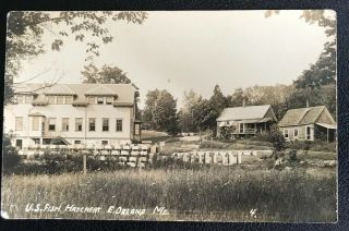 Us Fish Hatchery East Orland Maine,  Me Real Photo Old Postcard.  Great Rare View